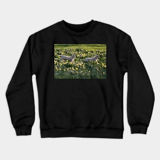 Spring Lambs #2 Crewneck Sweatshirt